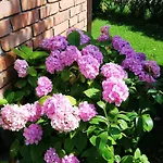 Michalek W Rowach Bed & Breakfast 3*