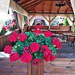 Michalek W Rowach Bed & Breakfast