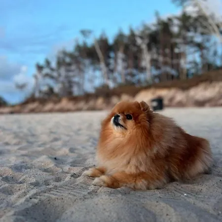 Michalek W Rowach 3*