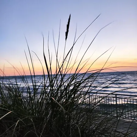 Michalek W Rowach Duninowo