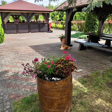 住宿加早餐酒店 Michalek W Rowach Duninowo