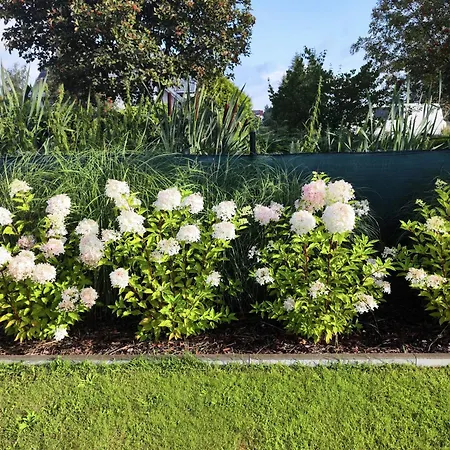 Michalek W Rowach 3*