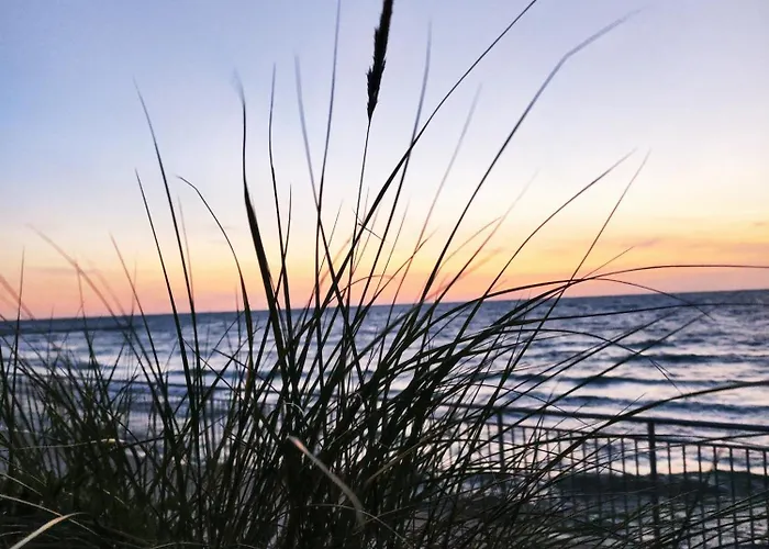 Michalek W Rowach Rowy (Pomerania)