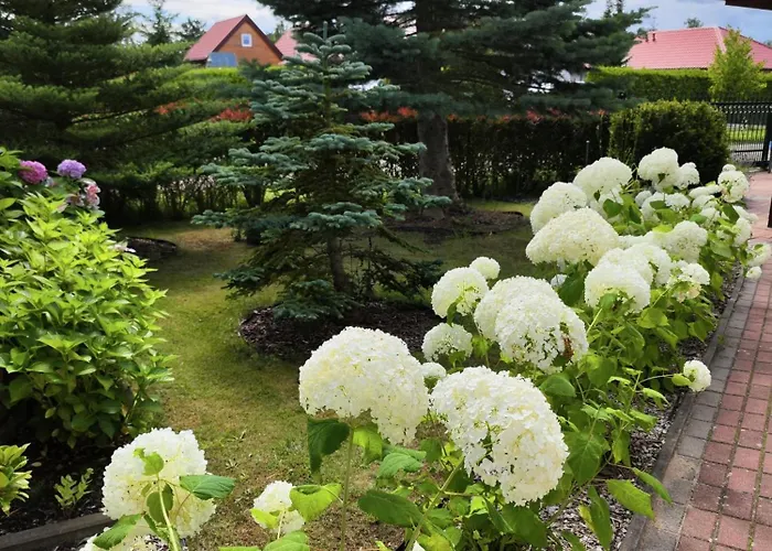 Michalek W Rowach ベッド・アンド・ブレックファスト