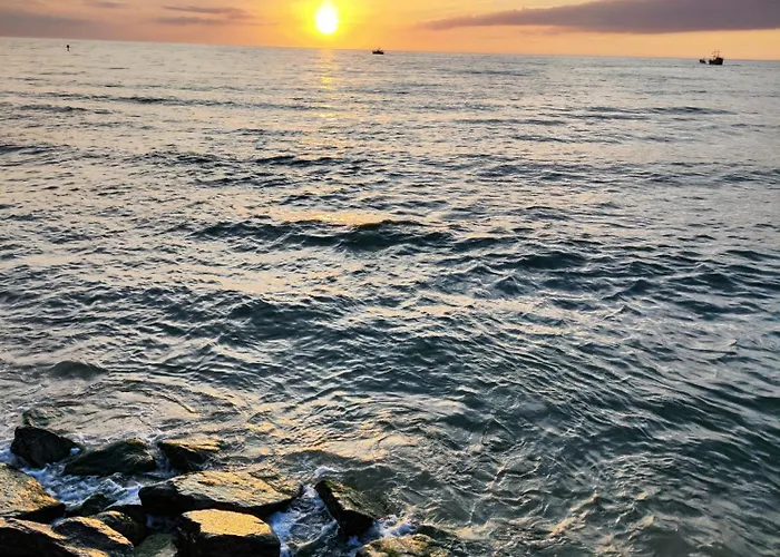 Michalek W Rowach ロビ