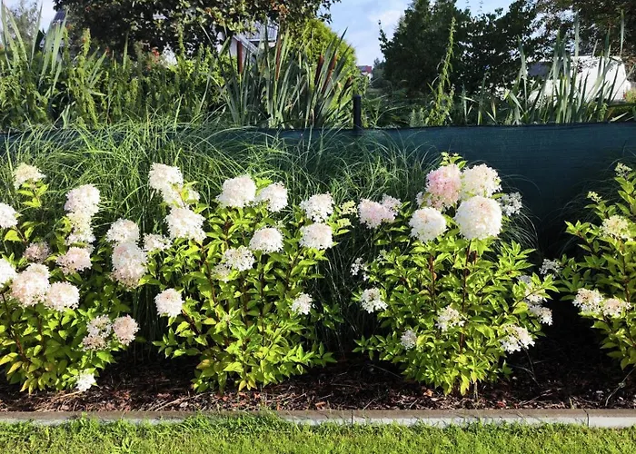 Michalek W Rowach 3*