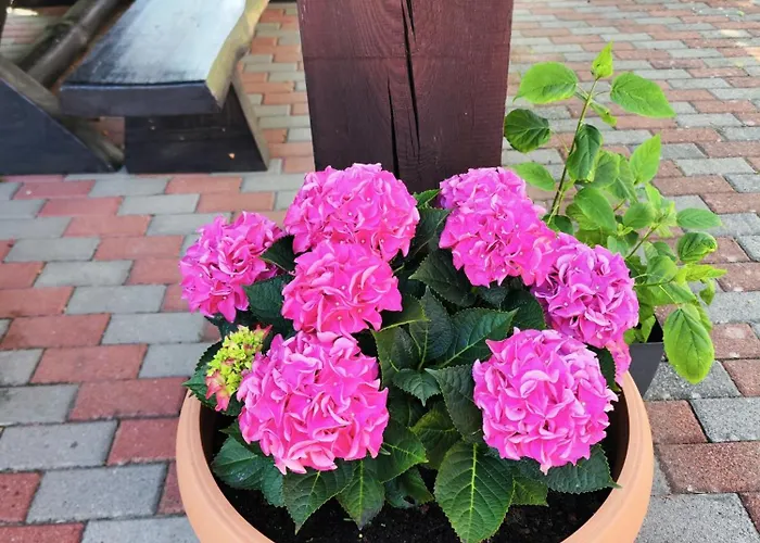 Michalek W Rowach Bed & Breakfast 3*