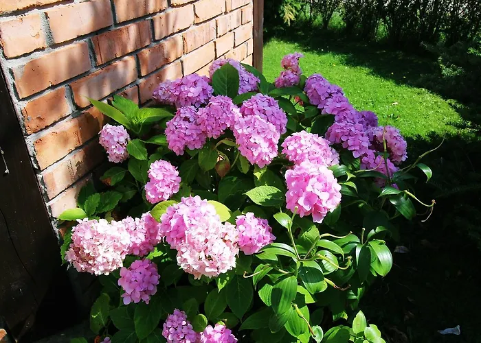 Michalek W Rowach Bed & Breakfast 3*